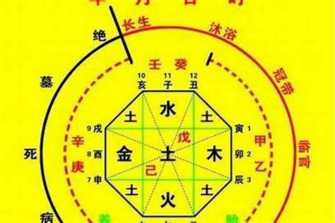 忌木|八字入门基础 第六篇 如何判断八字喜用神